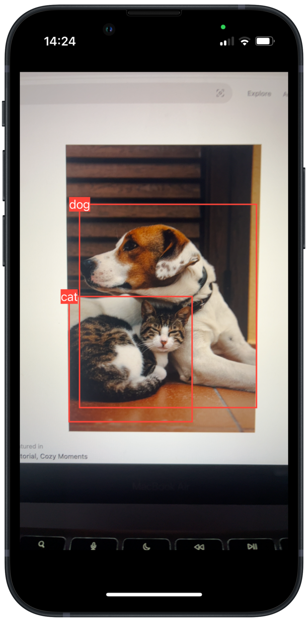 Image of YOLOv8SwiftUI